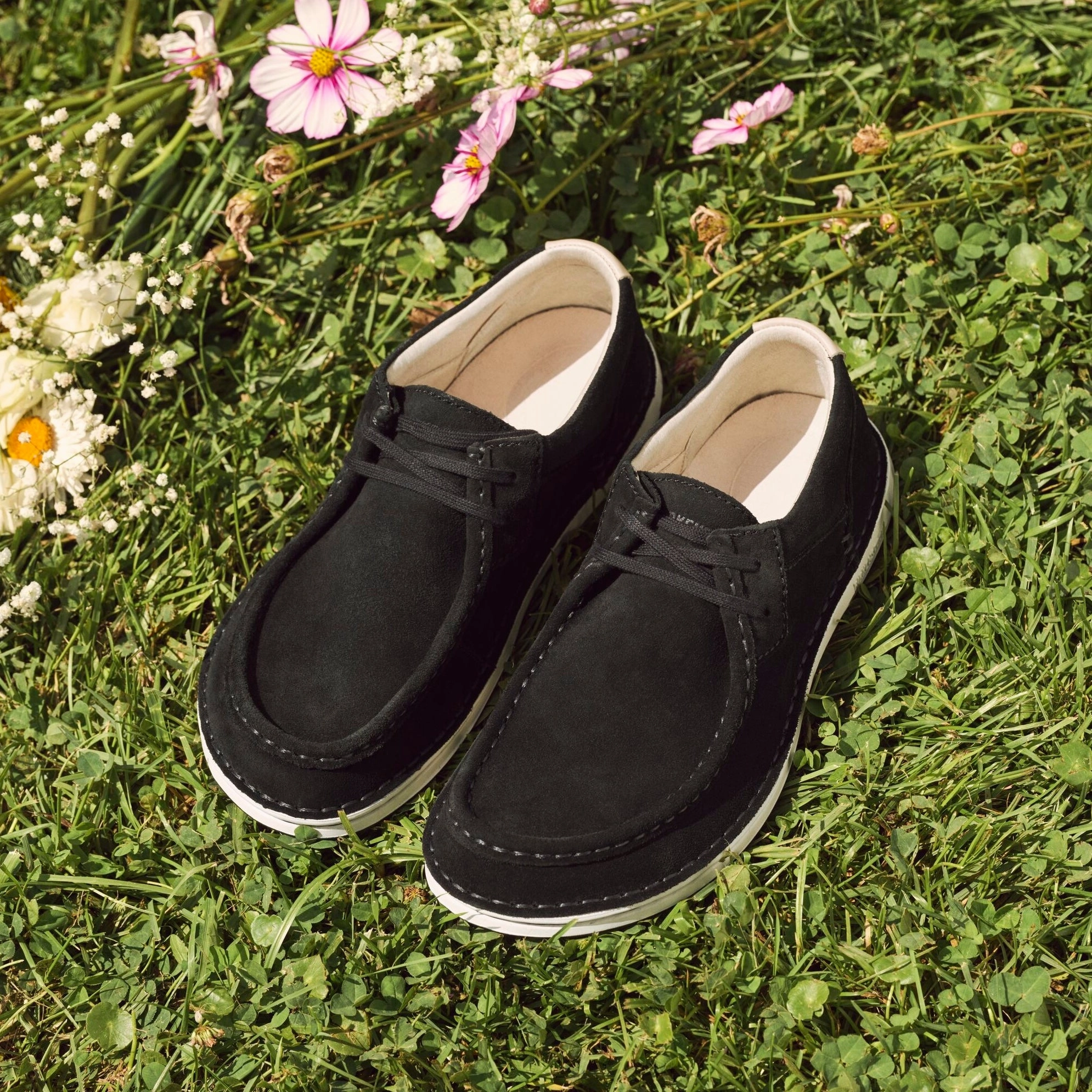 Birkenstock Pasadena black suede Leather Clogs
