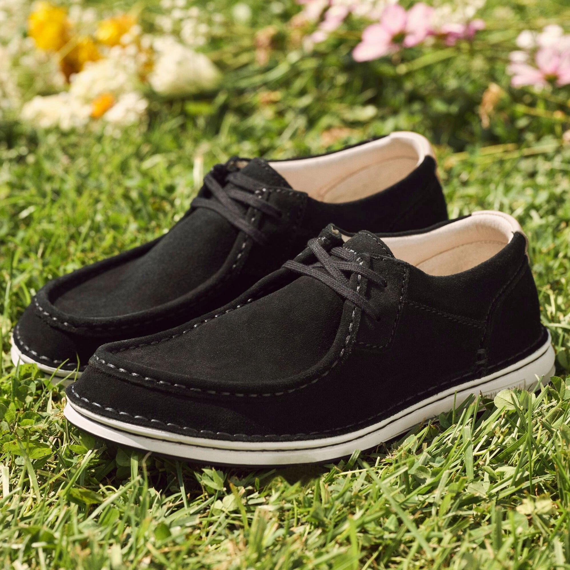 Classic Sandals Birkenstock Pasadena black suede