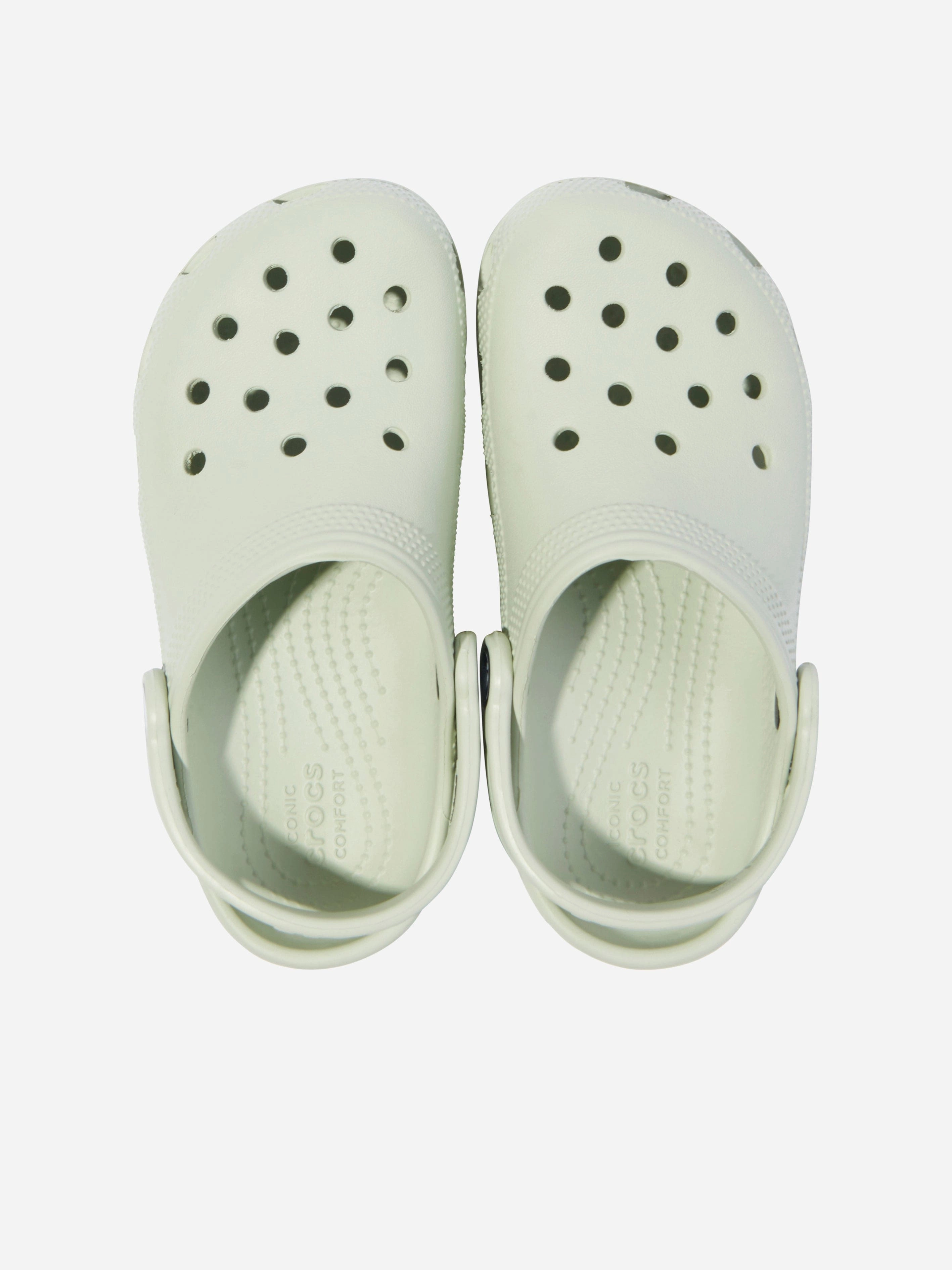 Gianvito Rossi Clogs Crocs Kids Classic Clog in Green