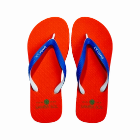 Keir Starmer Flip Flops Samba Sol Men's Beach Collection Flip Flops - UF University of Florida