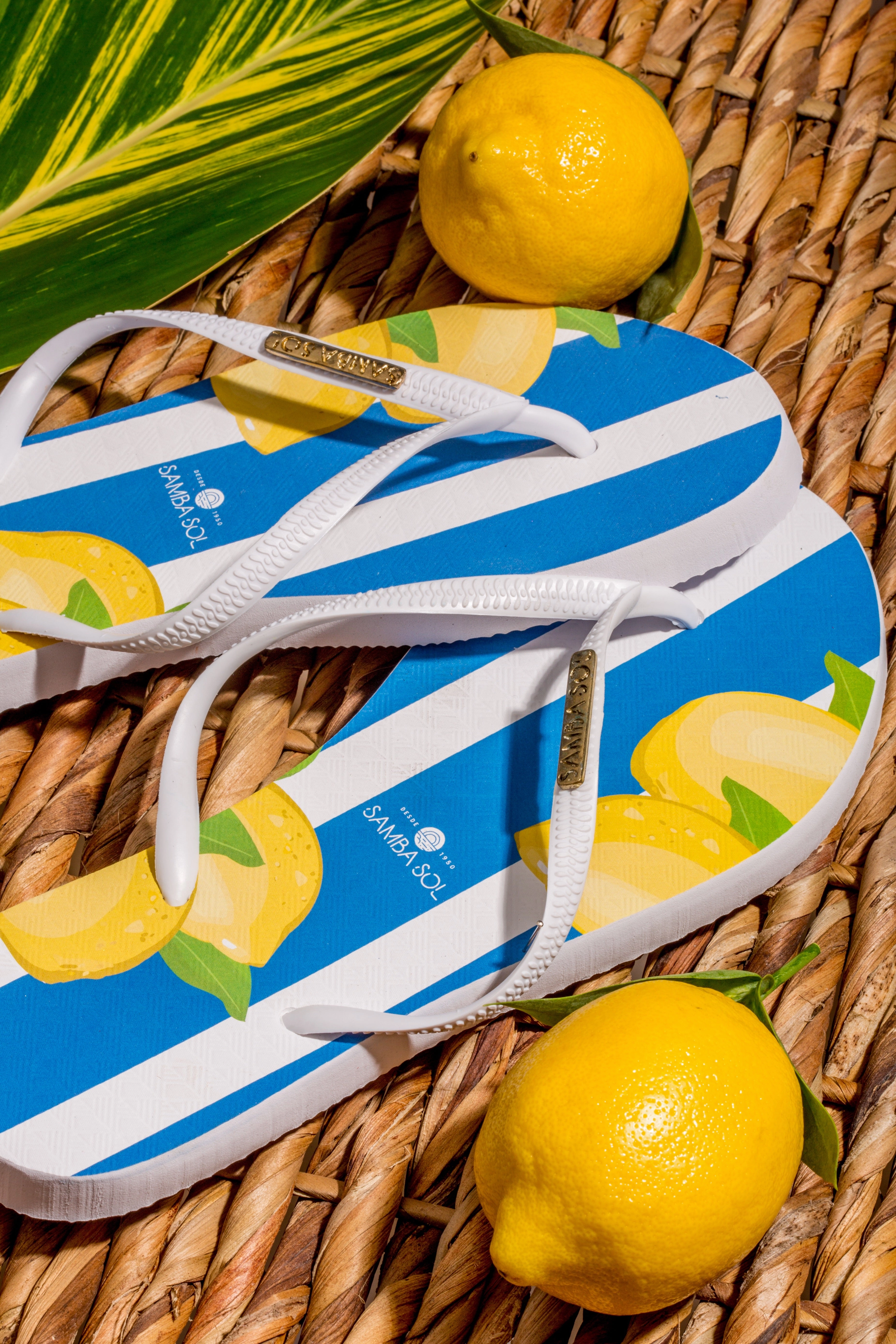 Samba Sol Women's Fashion Collection Flip Flops - Capri Lemon Sideout Flip Flops
