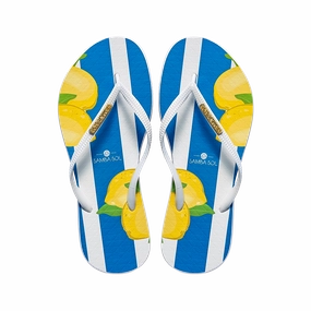 Samba Sol Women's Fashion Collection Flip Flops - Capri Lemon D Latch Flip Flop Truth Table