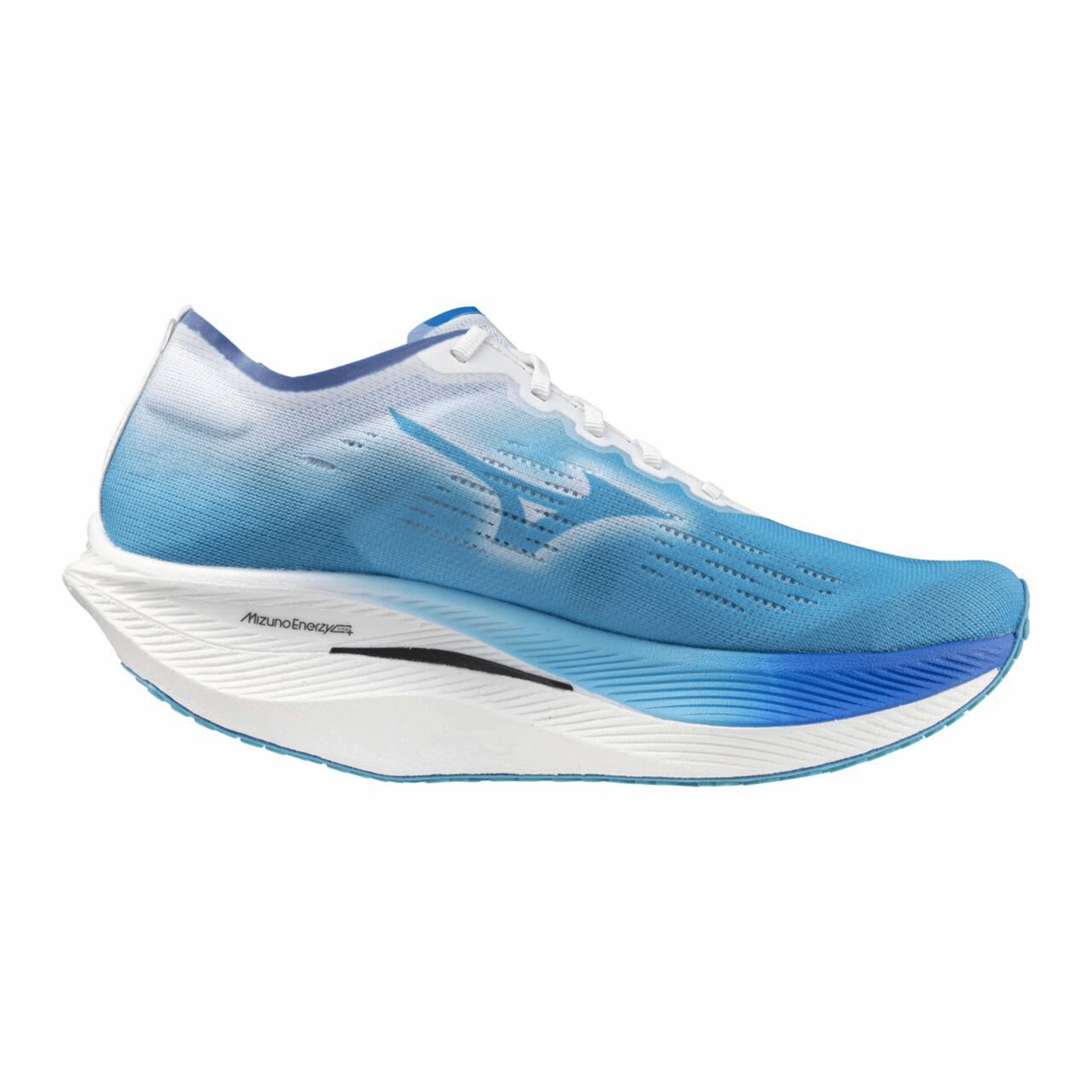 WAVE REBELLION PRO 2 Volleyball Coaching Shoes