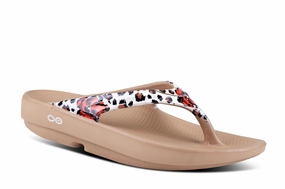 1403 - OOlala Poppy Leopard Spider Flip Flops