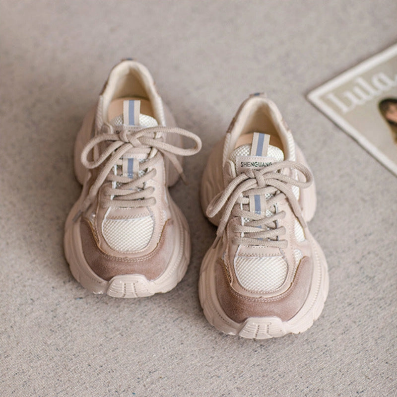 Street Wear Sneakers Women's Fashion Breathable Mesh Casual Platform Sneakers